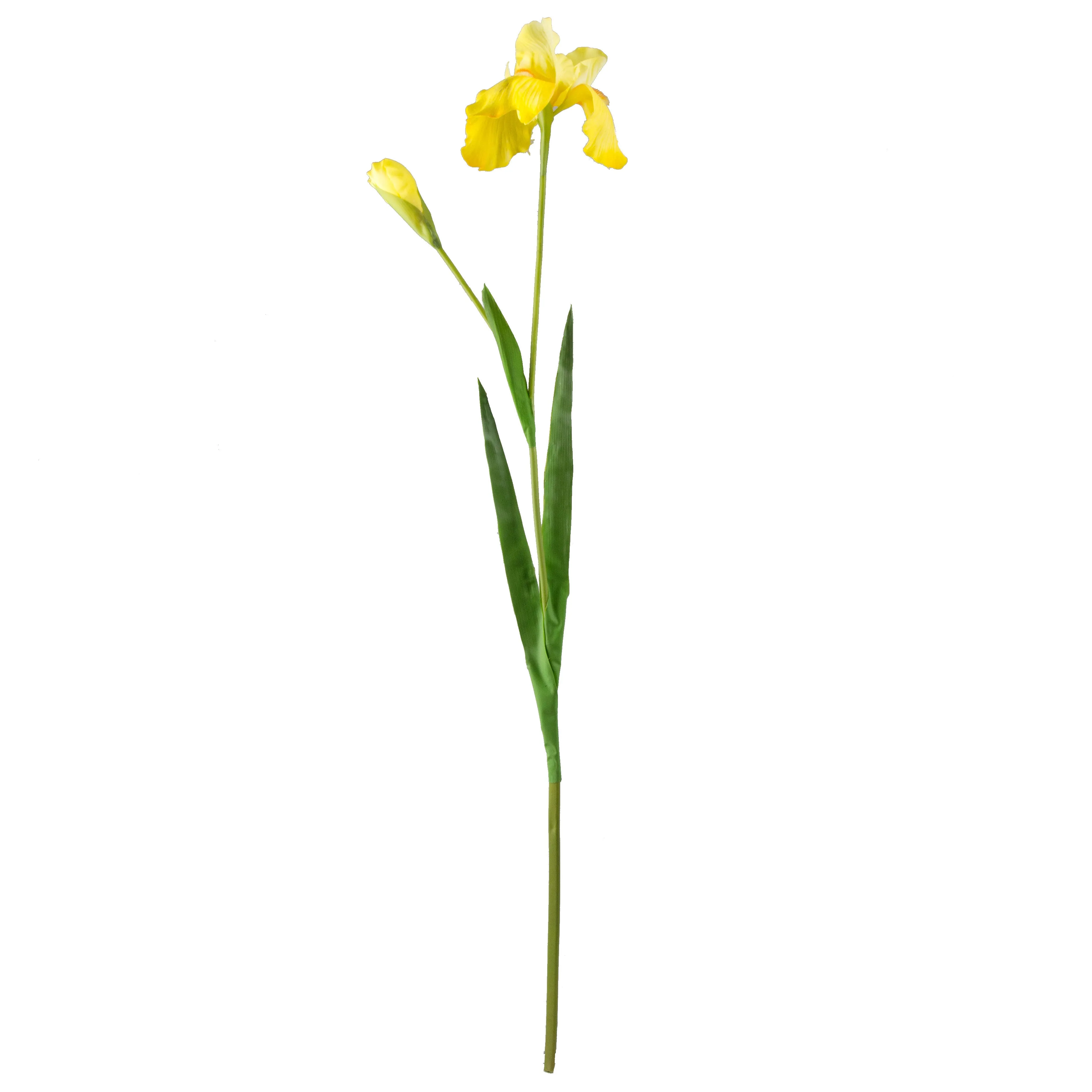 37" Bearded Iris Spray: Yellow